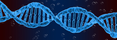 STL biotech - ST2S
