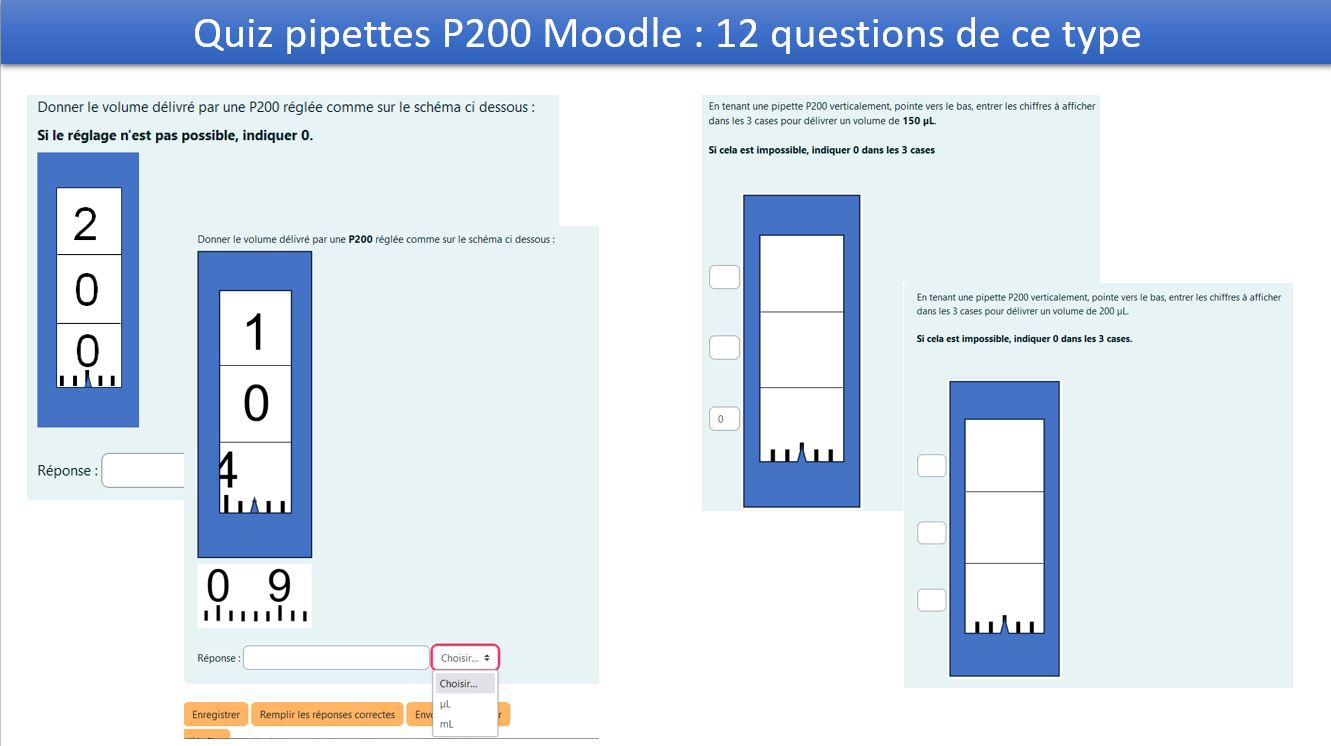 previsualisation_quiz_P200.jpg